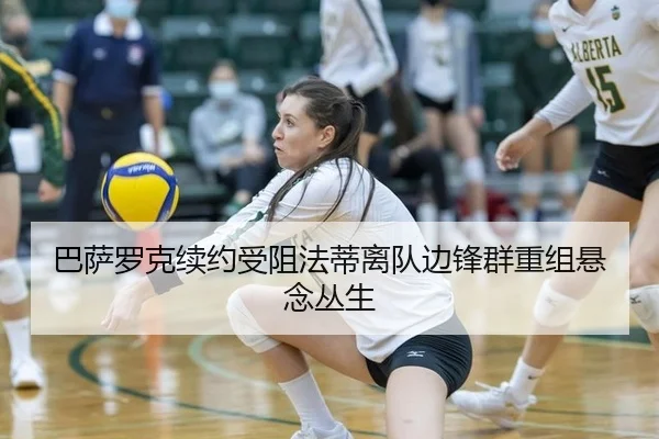 ba-sa-luo-ke-xu-yue-shou-zu-fa-di-li-dui-bian-feng-qun-chong-zu-xuan-nian-cong-sheng-3-279.jpg