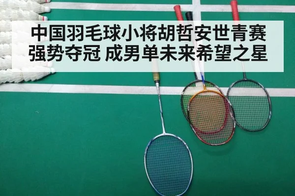 badminton match court