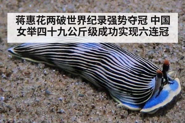 蒋惠花两破世界纪录强势夺冠 中国女举四十九公斤级成功实现六连冠